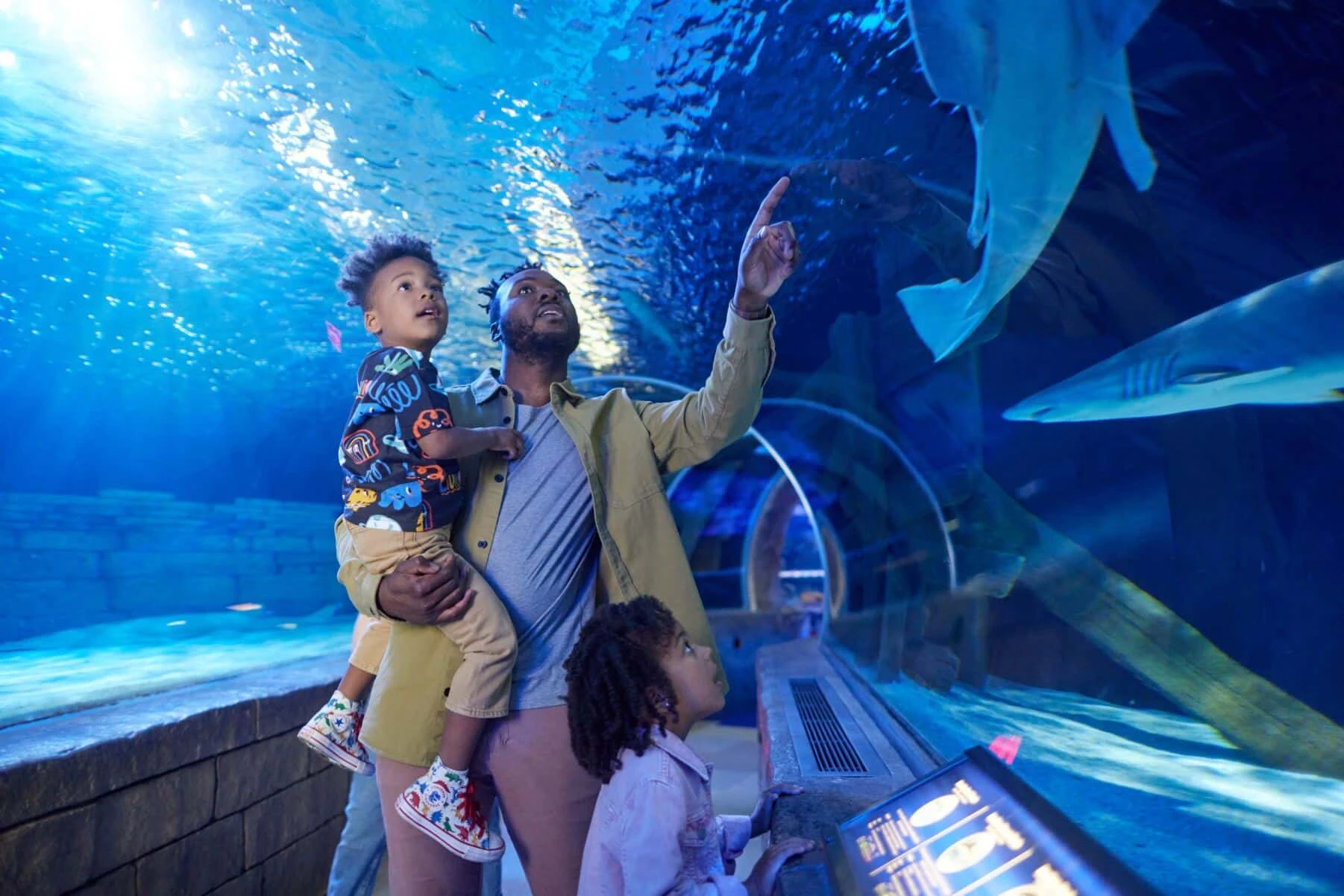 American Dream Sea Life nj mom