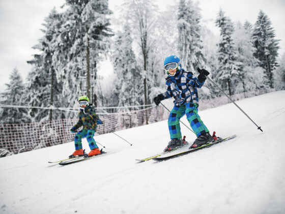 ski free ny mom