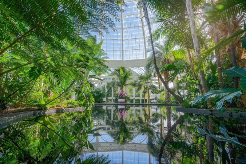 NYBG Ny MOm
