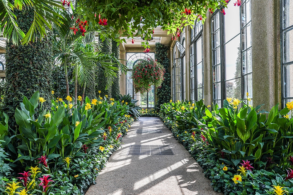 Acacia Passage longwood gardens nj mom