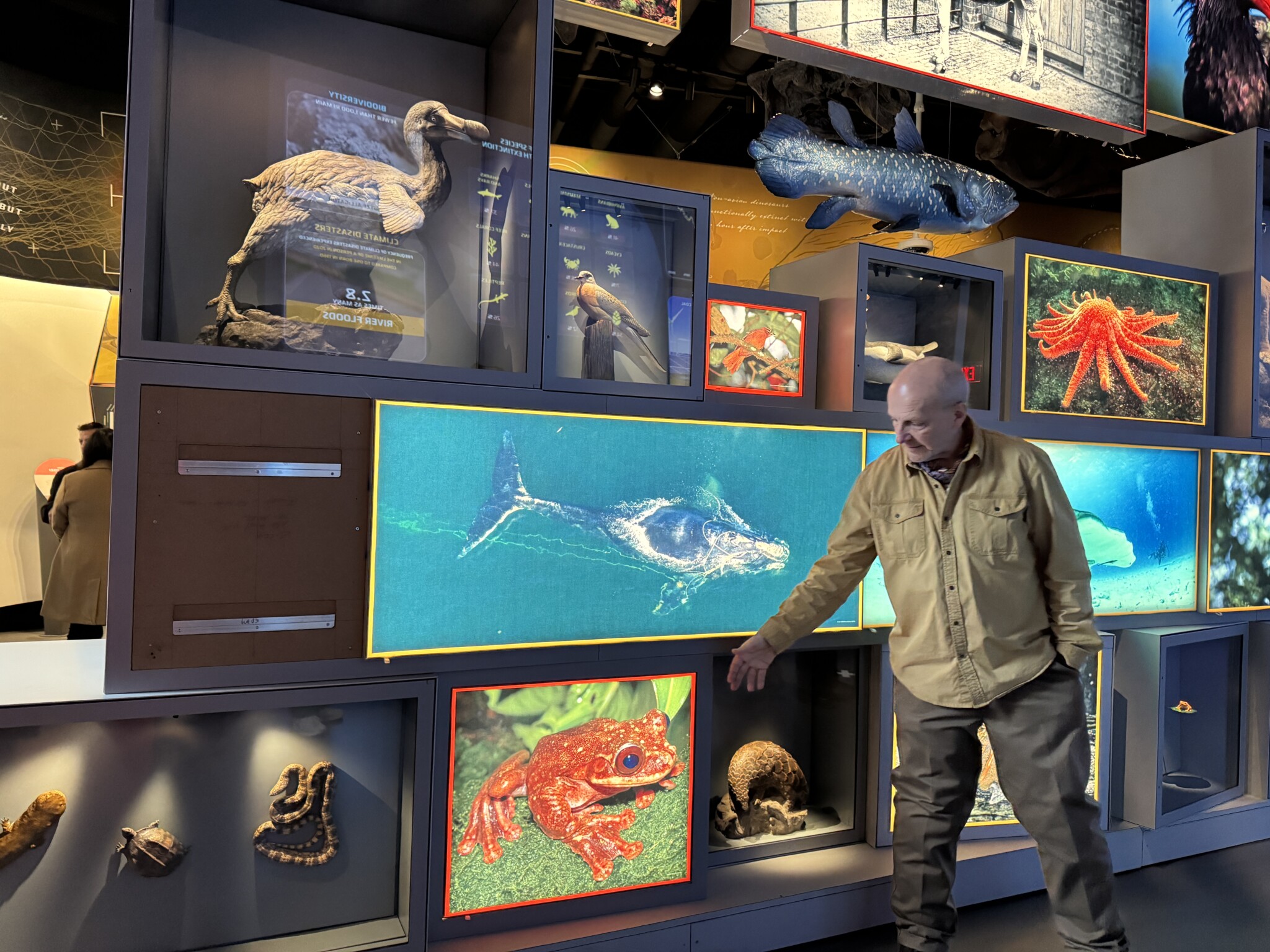 Best things to do in nj edelman museum nj mom