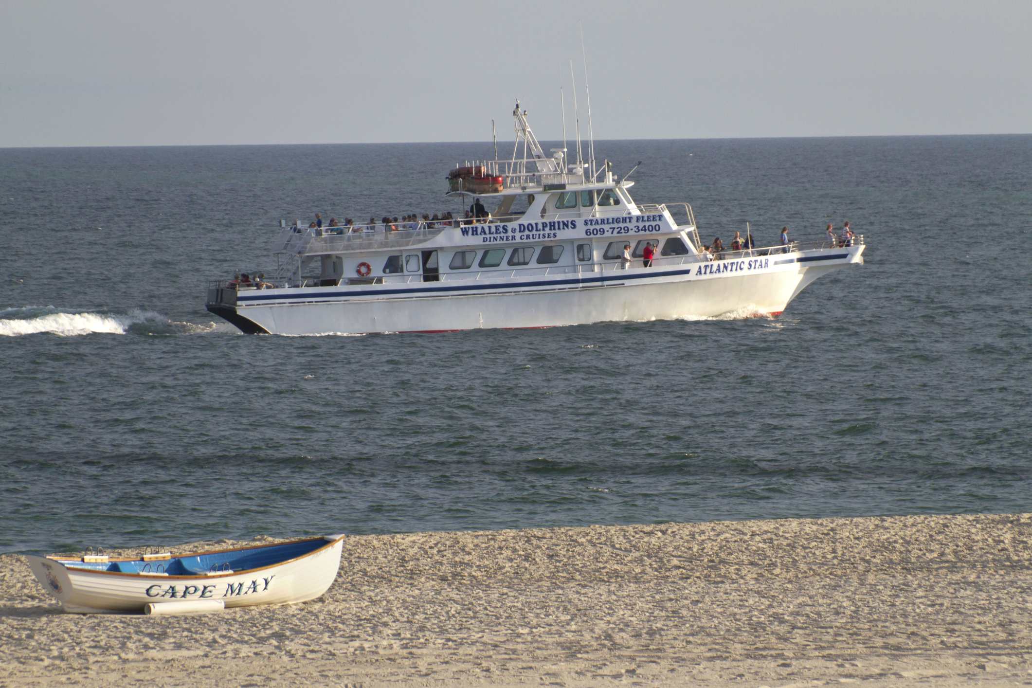 Cape May Whale watching nj mom