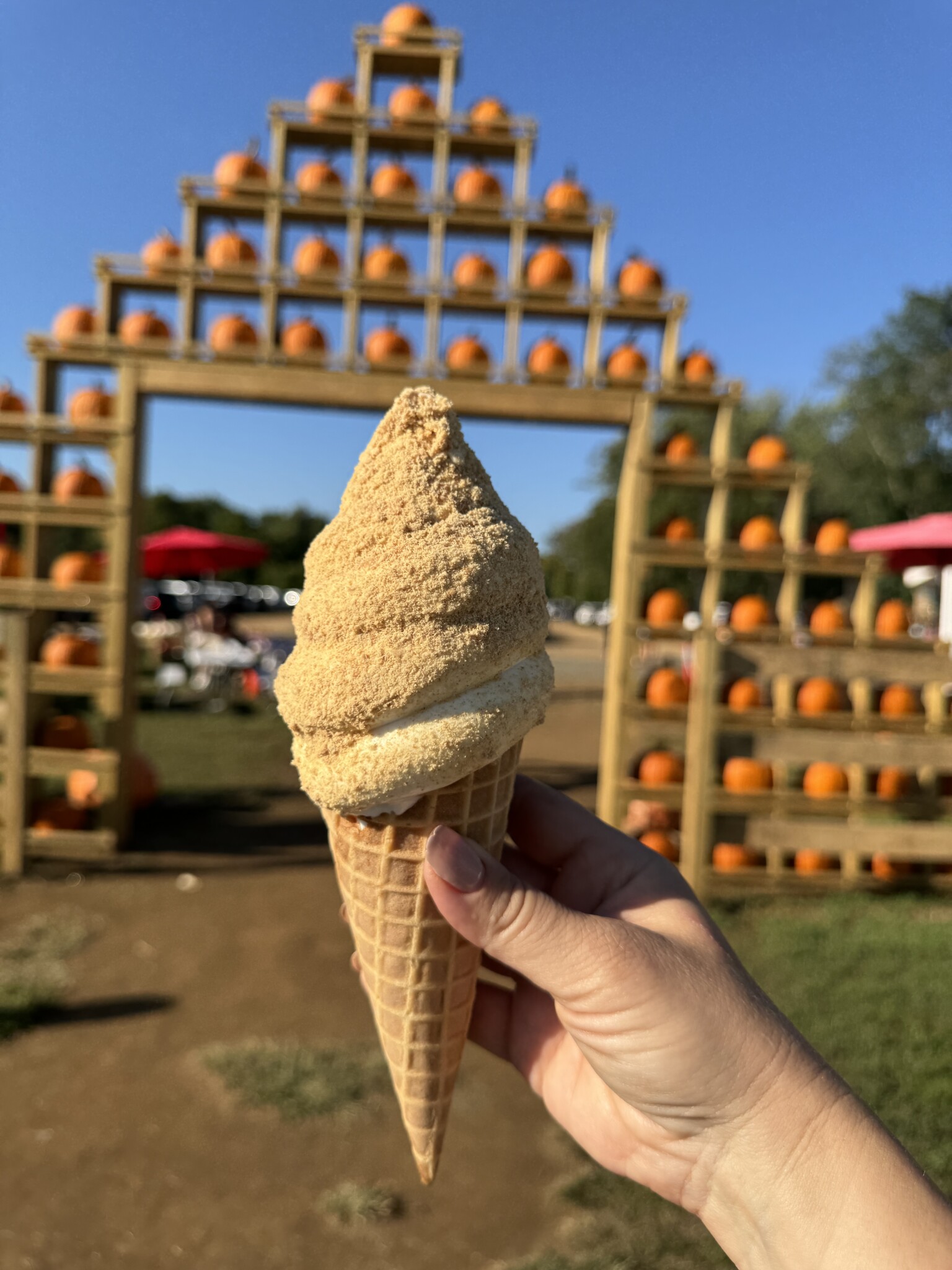 Carm's Farm food nj mom