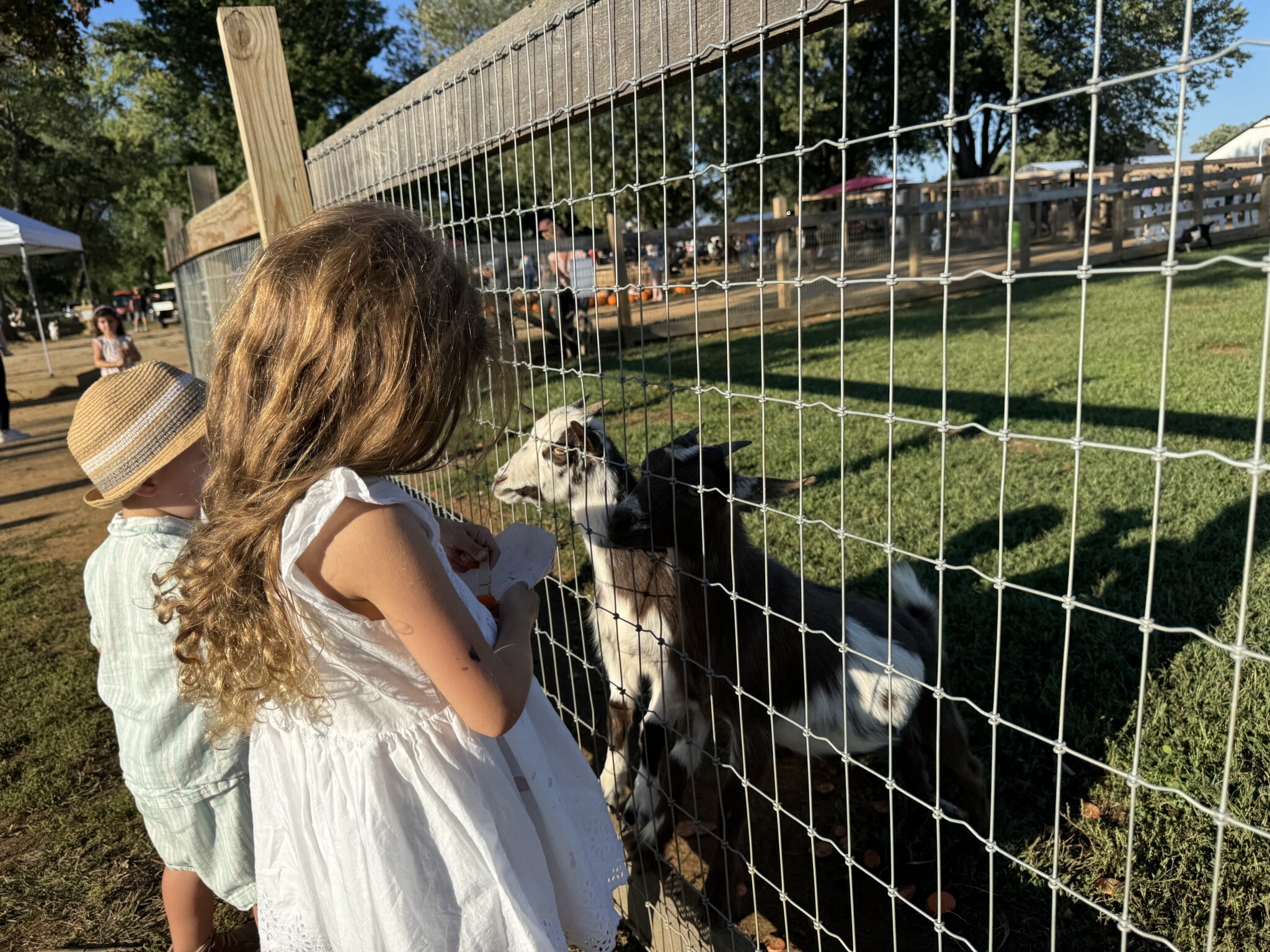 Carm's farm animal nj mom