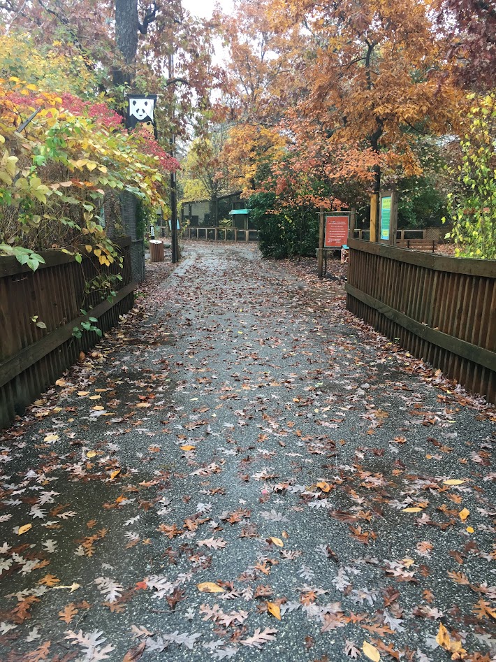 Cohanzick zoo walkway nj mom