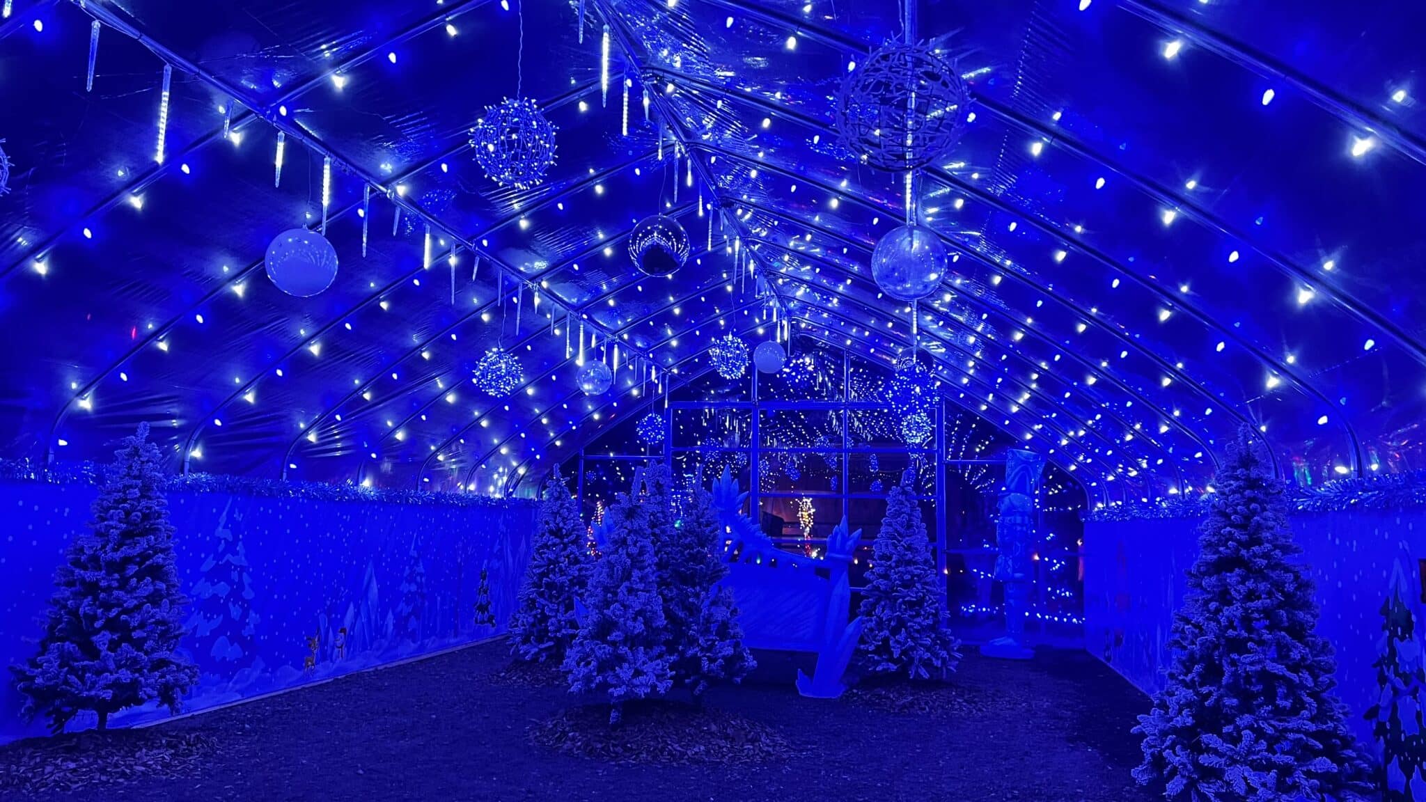 Creamy Acres winter nj mom