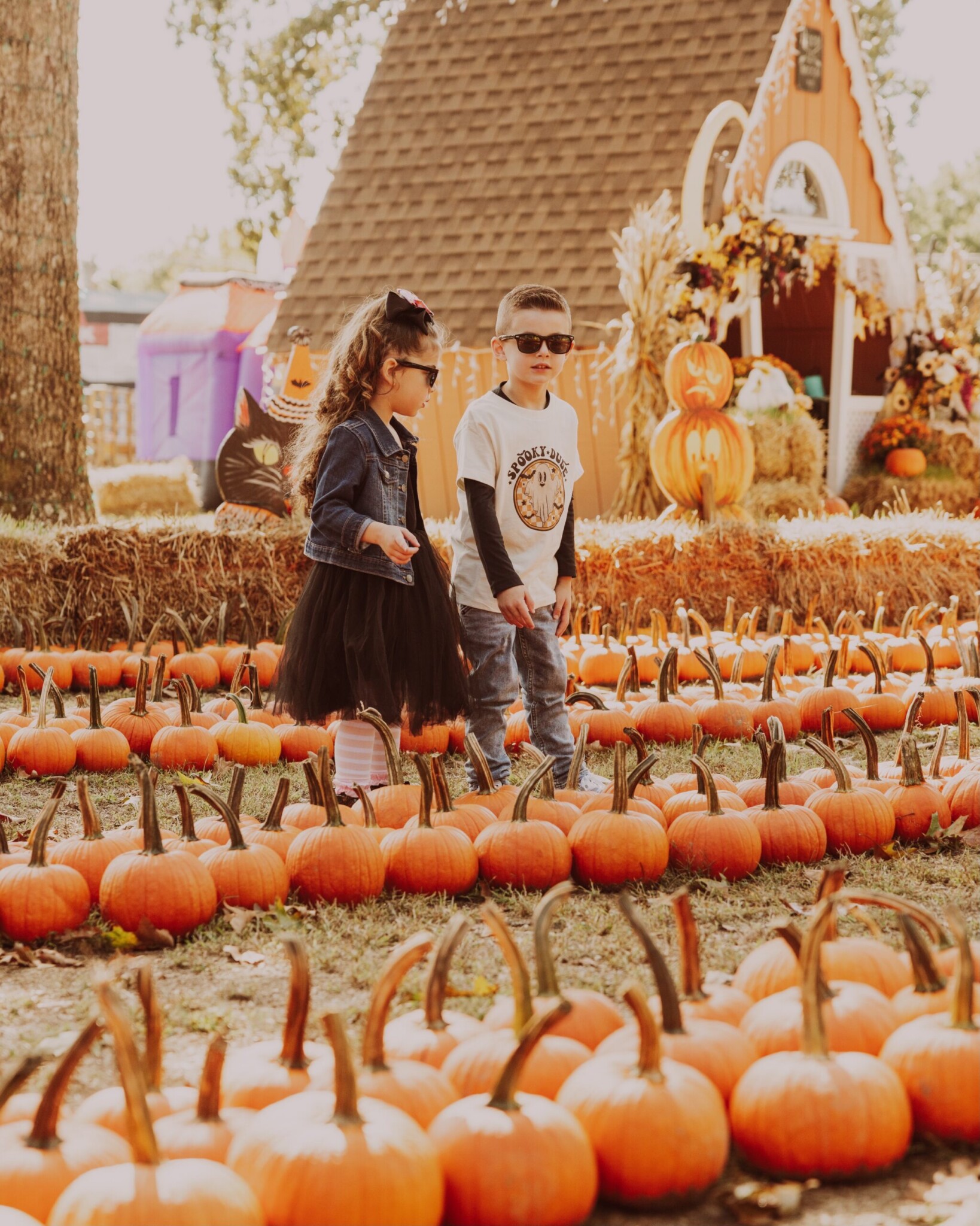 DiDonato pumpkin nj mom