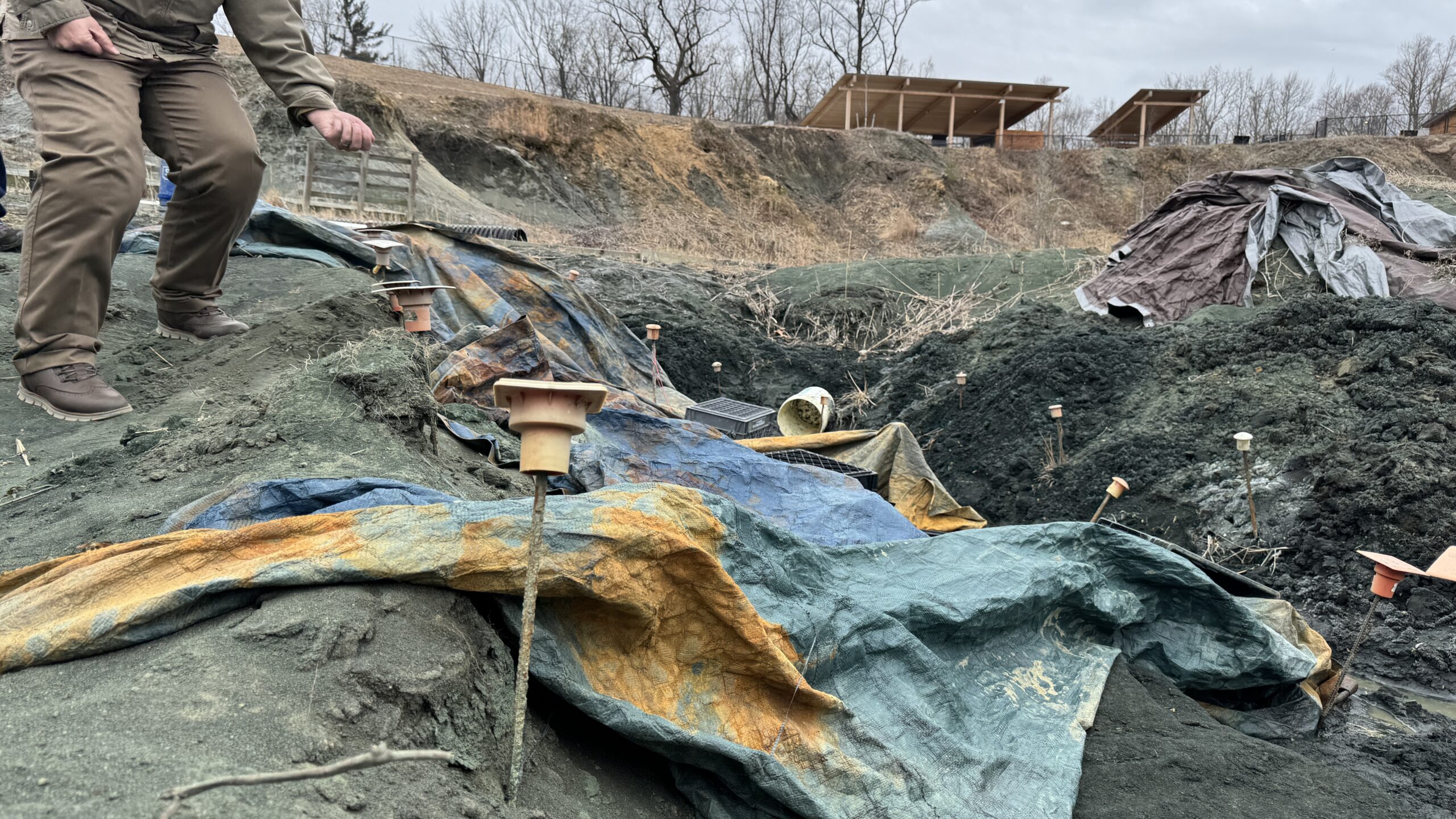 Edelman Fossil Museum quarry nj mom