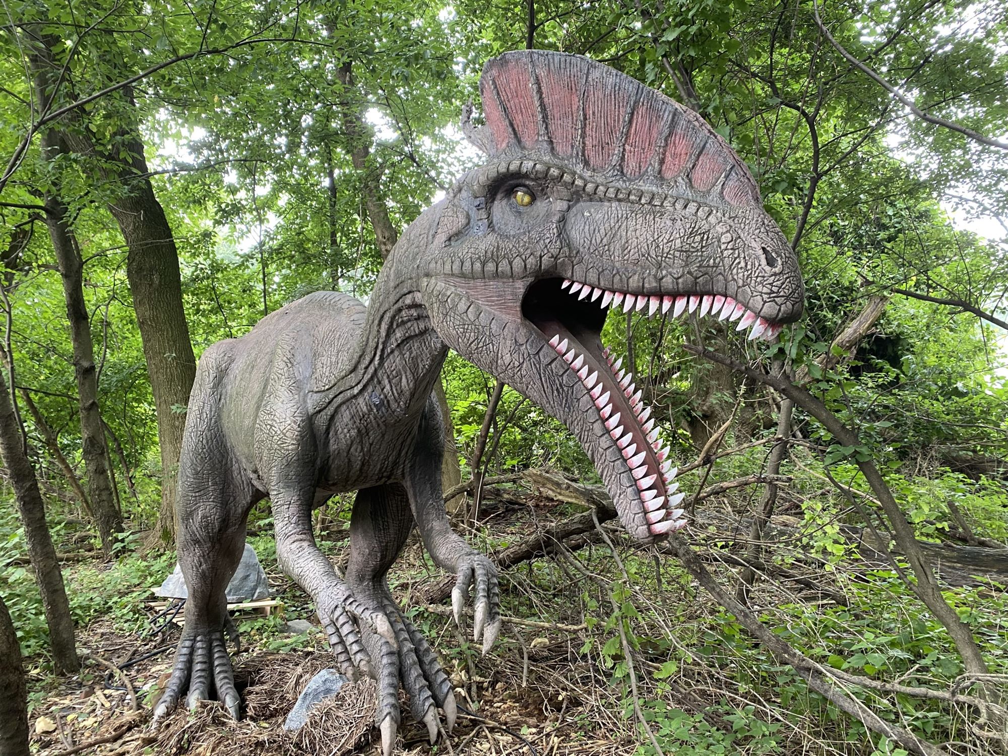 Field Station Dinosaurs roar nj mom