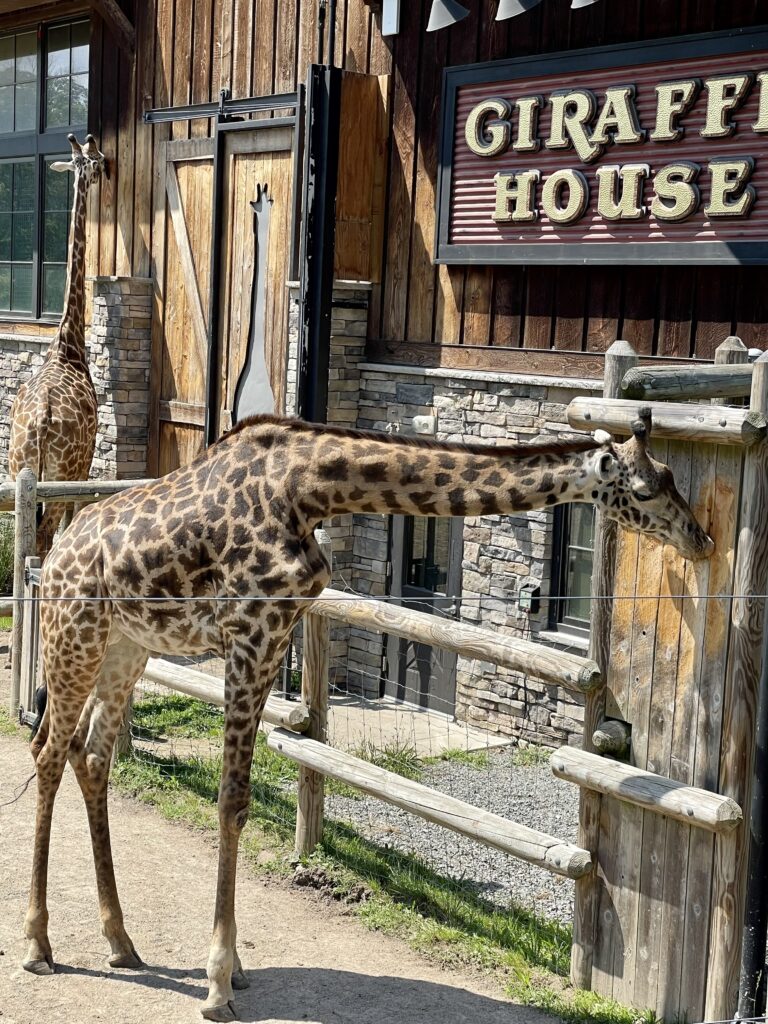 spring things to do in NJ nj mom