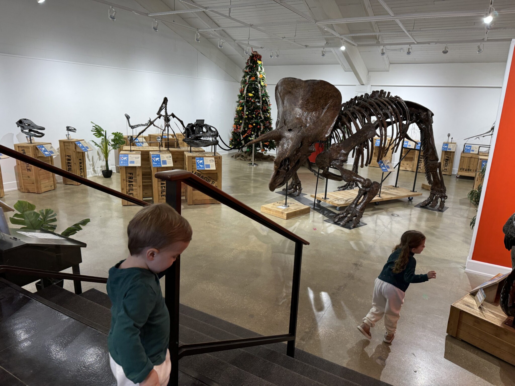 Monmouth museum nj mom
