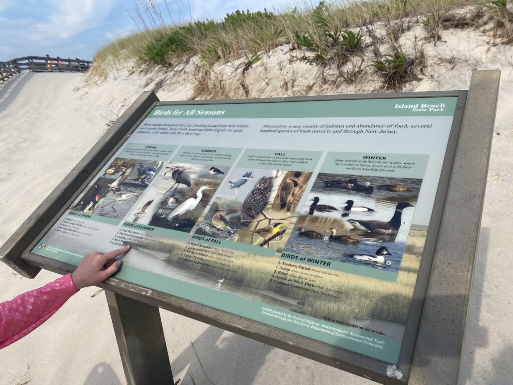 beach park nj mom