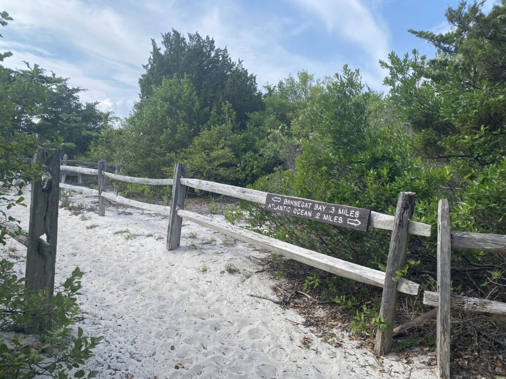 Island Beach State Park trail nj mom