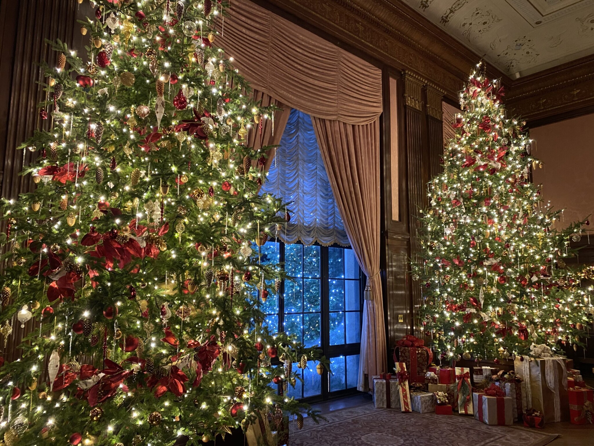 longwood gardens Christmas nj mom