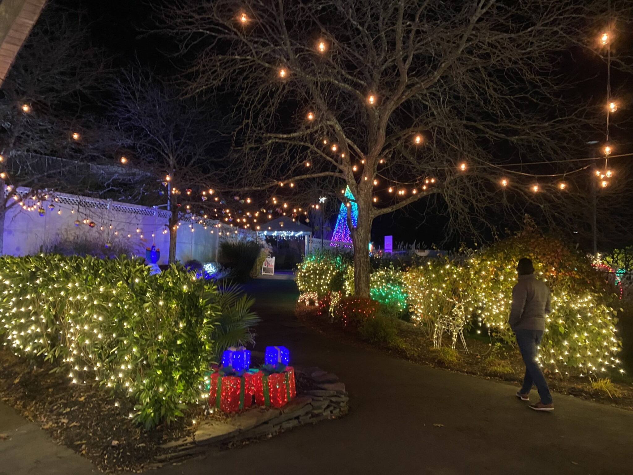 Magic-of-Lights-2023-scaled-e1700447907745 nj mom