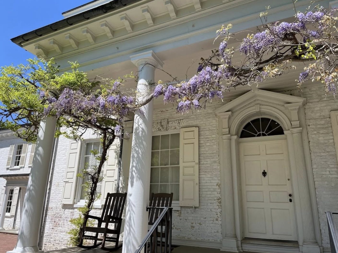 Morven Garden and Museum wisteria nj mom