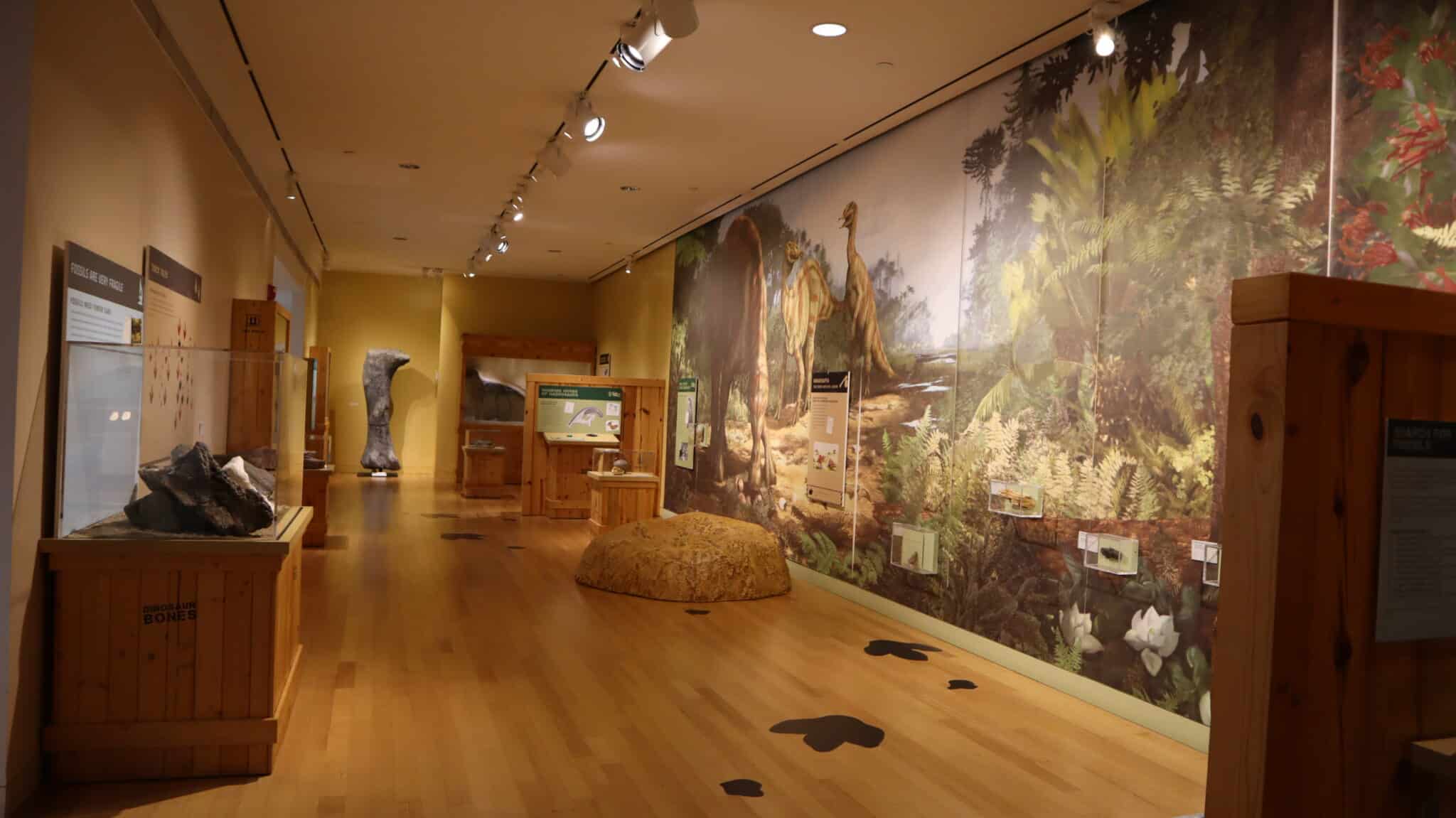 Morris Museum hall nj mom