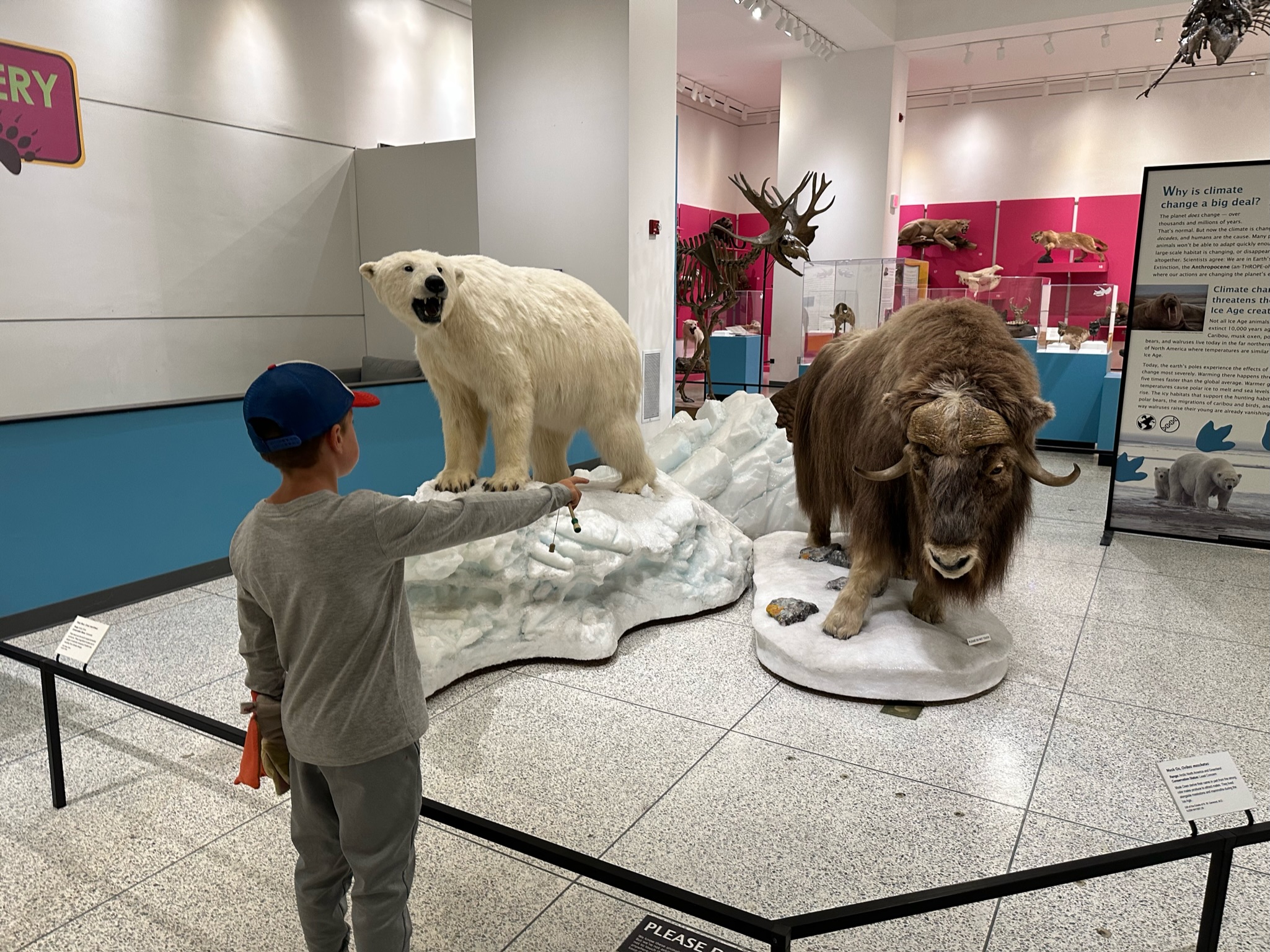 New Jersey State Museum