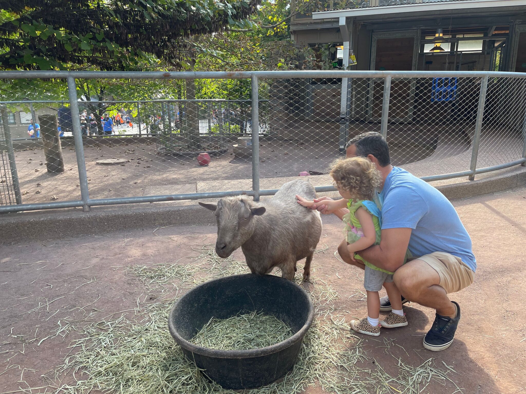 Philadelphia zoo barnyard nj mom