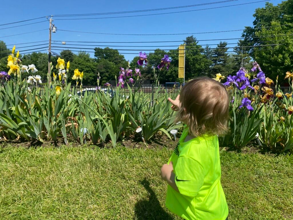 Presby Iris Gardens nj mom