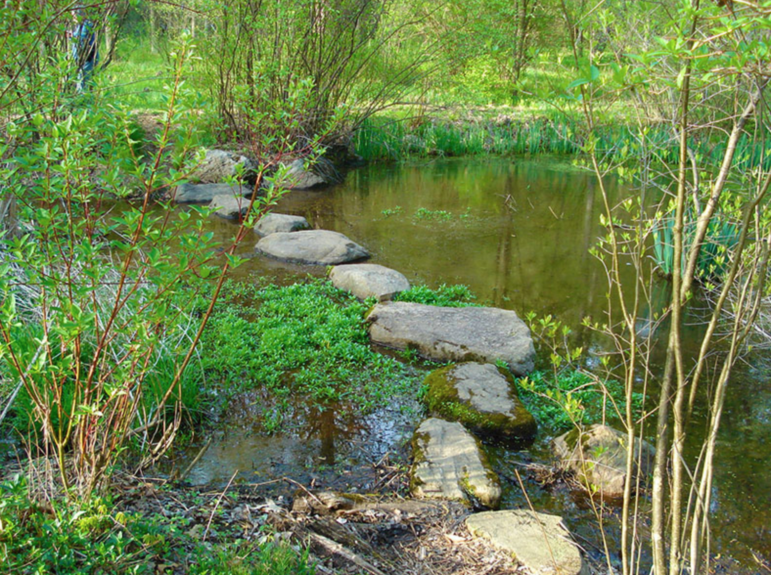 New Jersey Botanical Garden nj mom