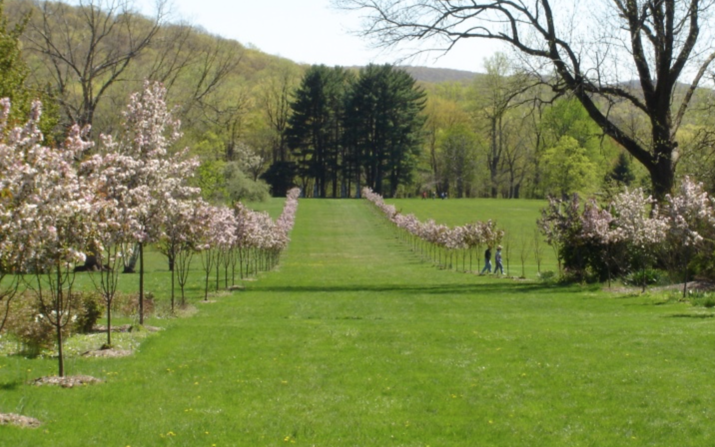 New Jersey Botanical Garden nj mom