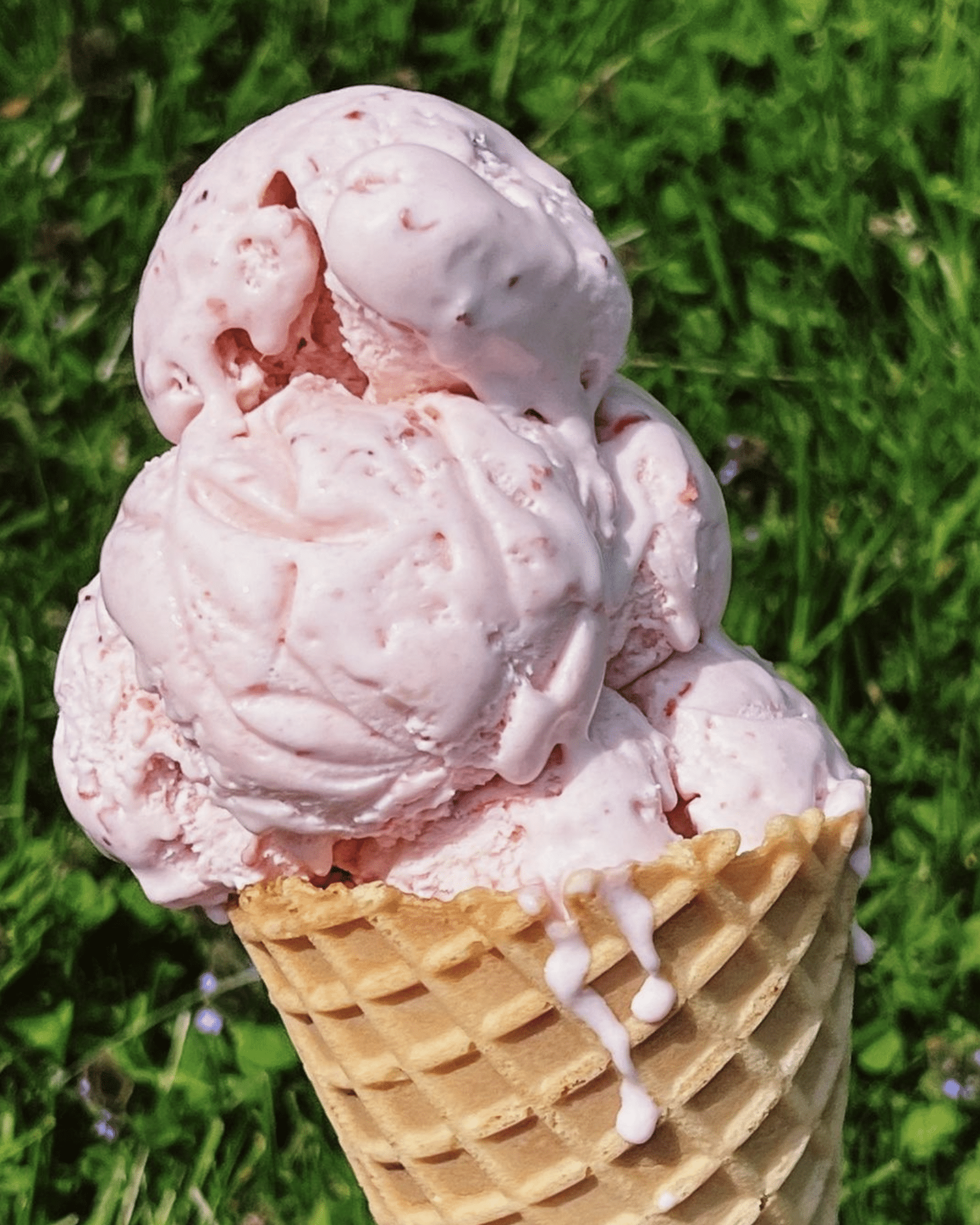 ice cream in nj north nj mom