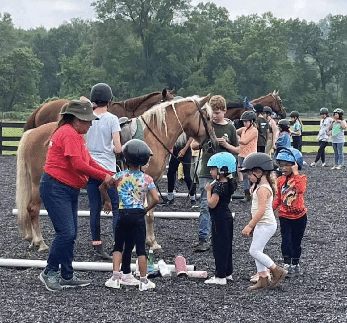 Seaton Hackney horseback riding in NJ