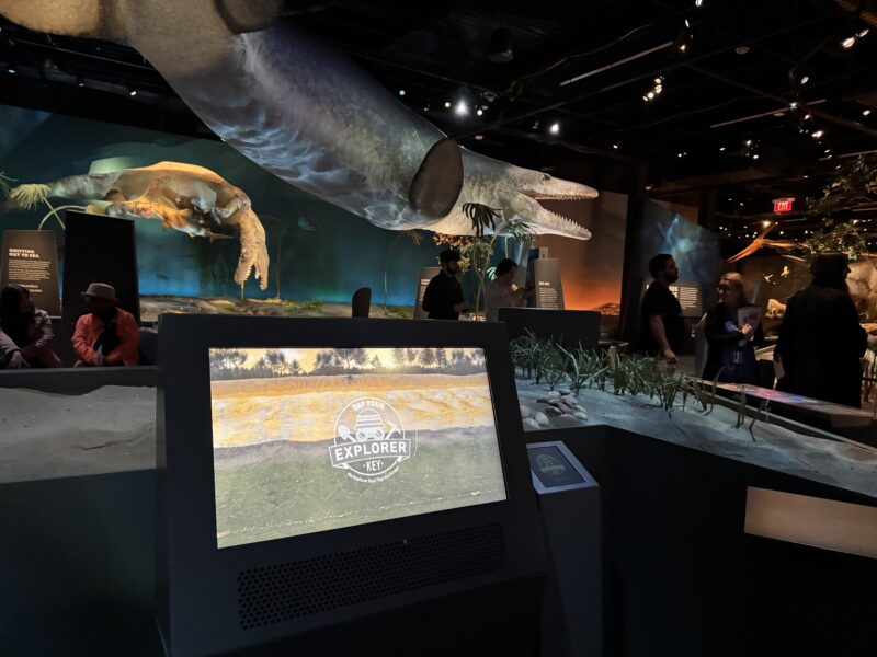South jersey museums sj mom