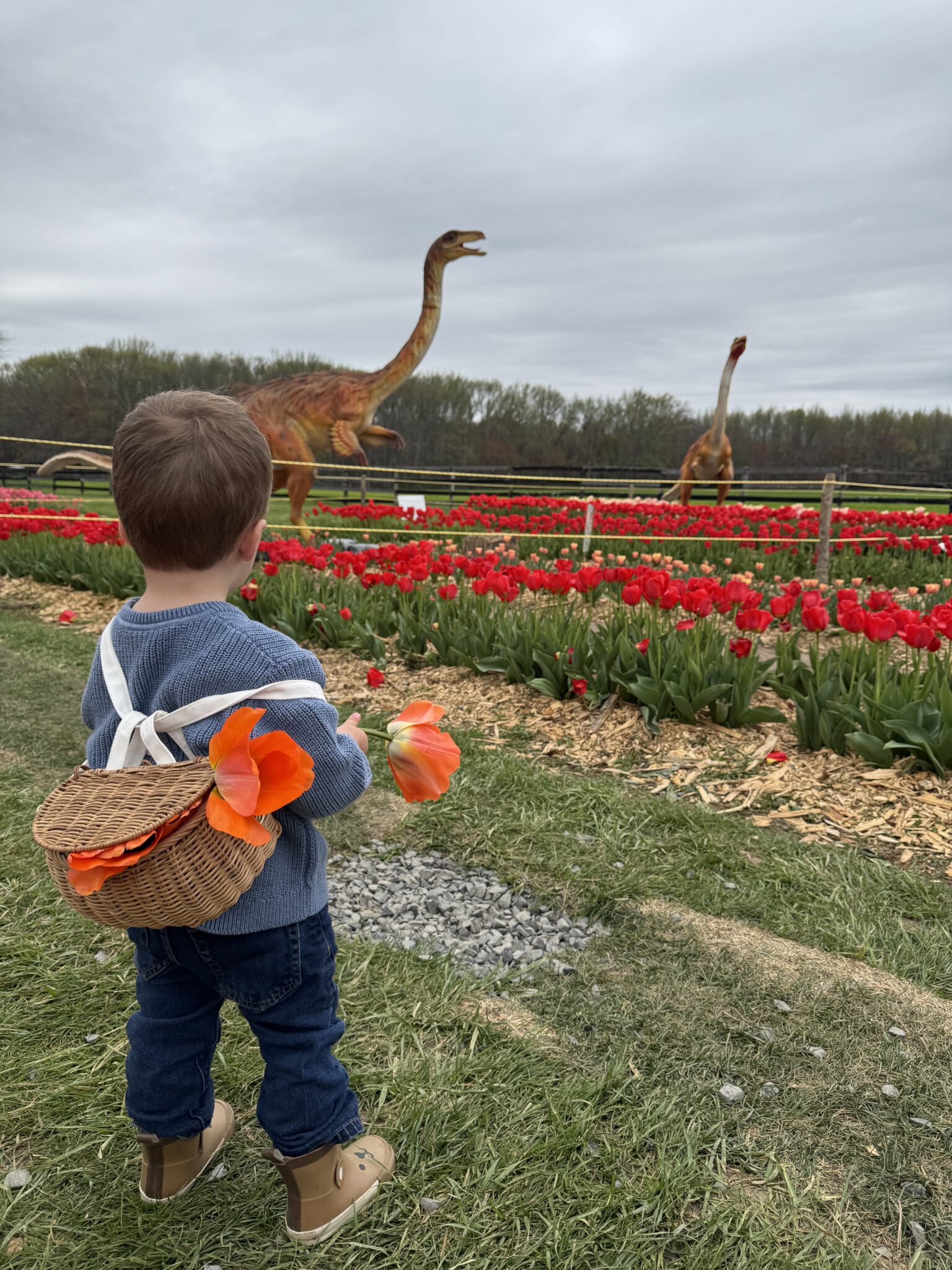 tulip dino fest new jersey nj mom