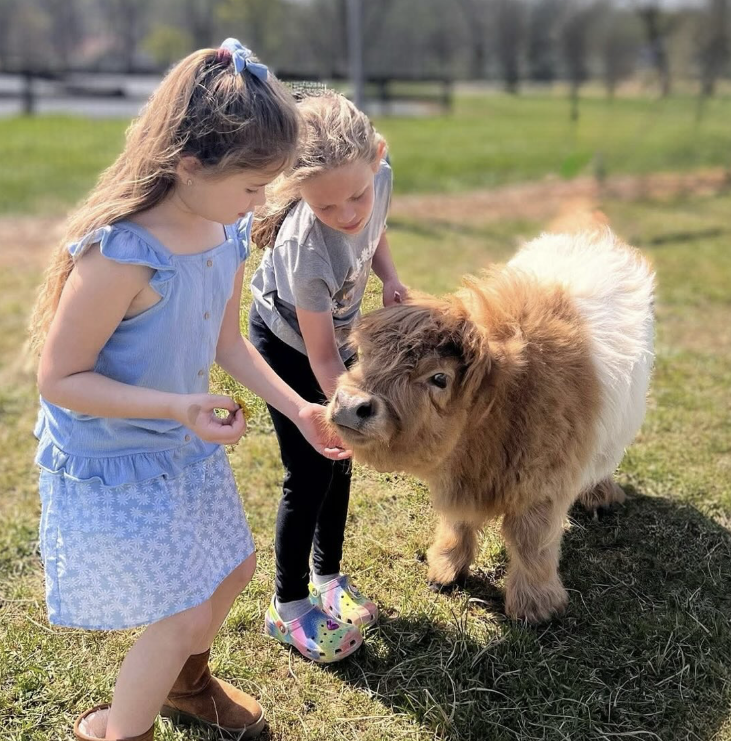 Von Thun Farm animal nj mom