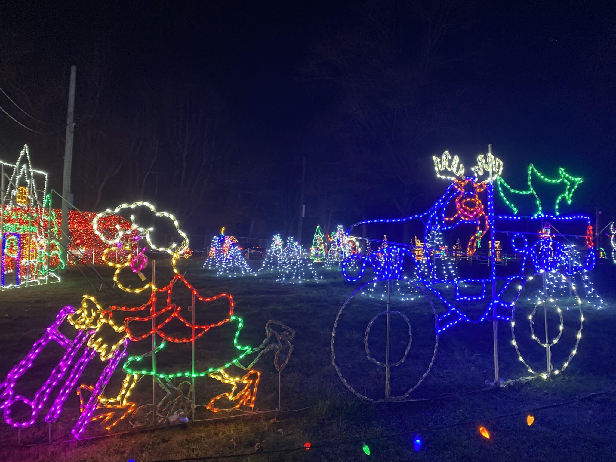 Winter Wonder Lights in NJ reindeer