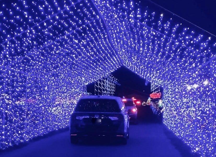 Winter WonderLights in NJ tunnel