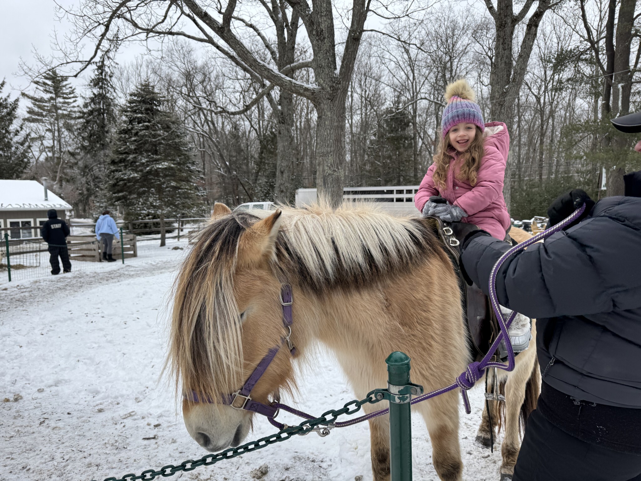 Woodloch horse nj mom