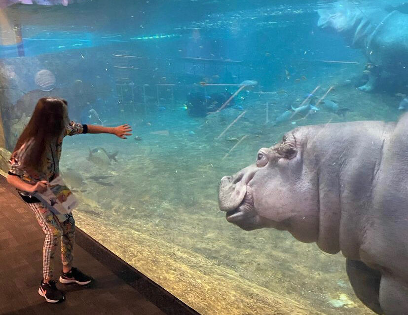 adventure aquarium Camden nj, indoor activities in NJ