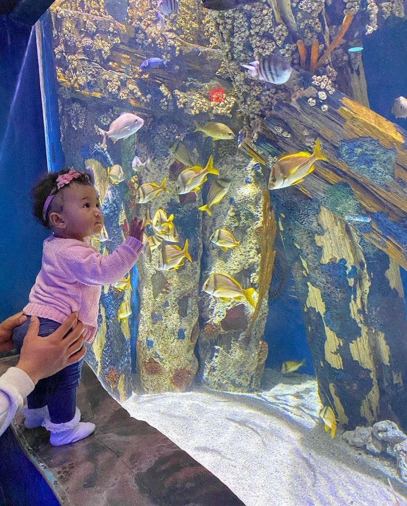 camden aquarium nj mom
