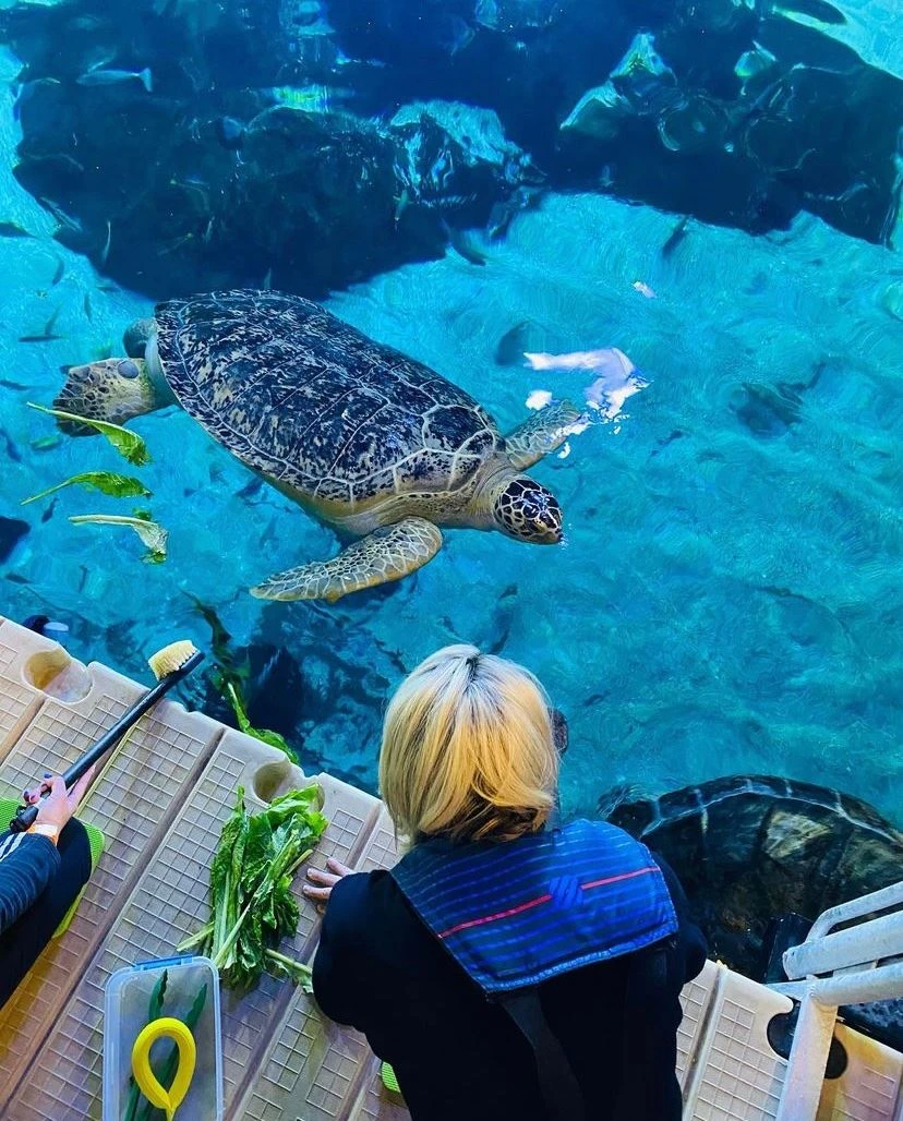 Aquarium nj mom