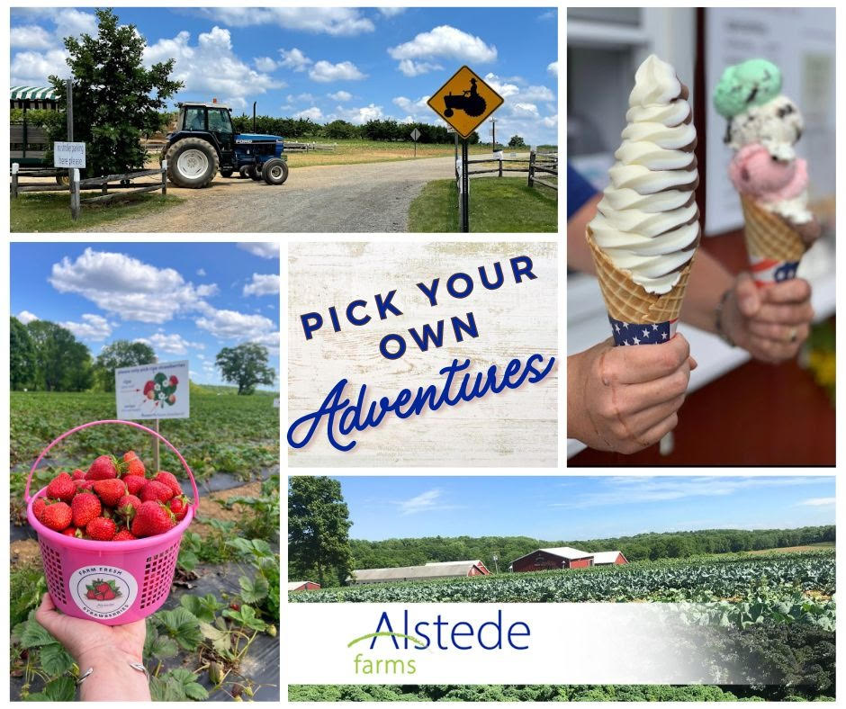 Alstede Farms