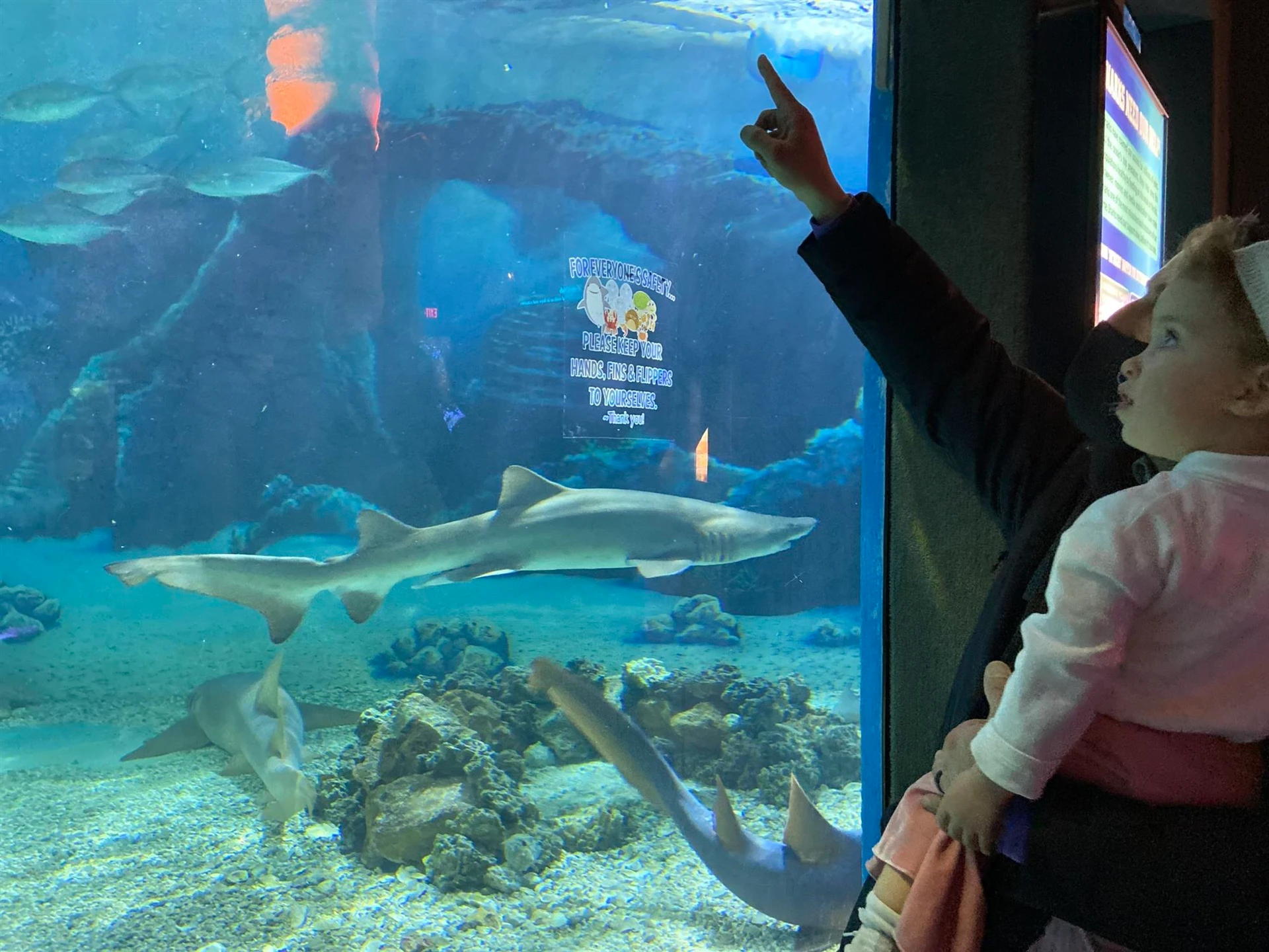 aquarium nj mom