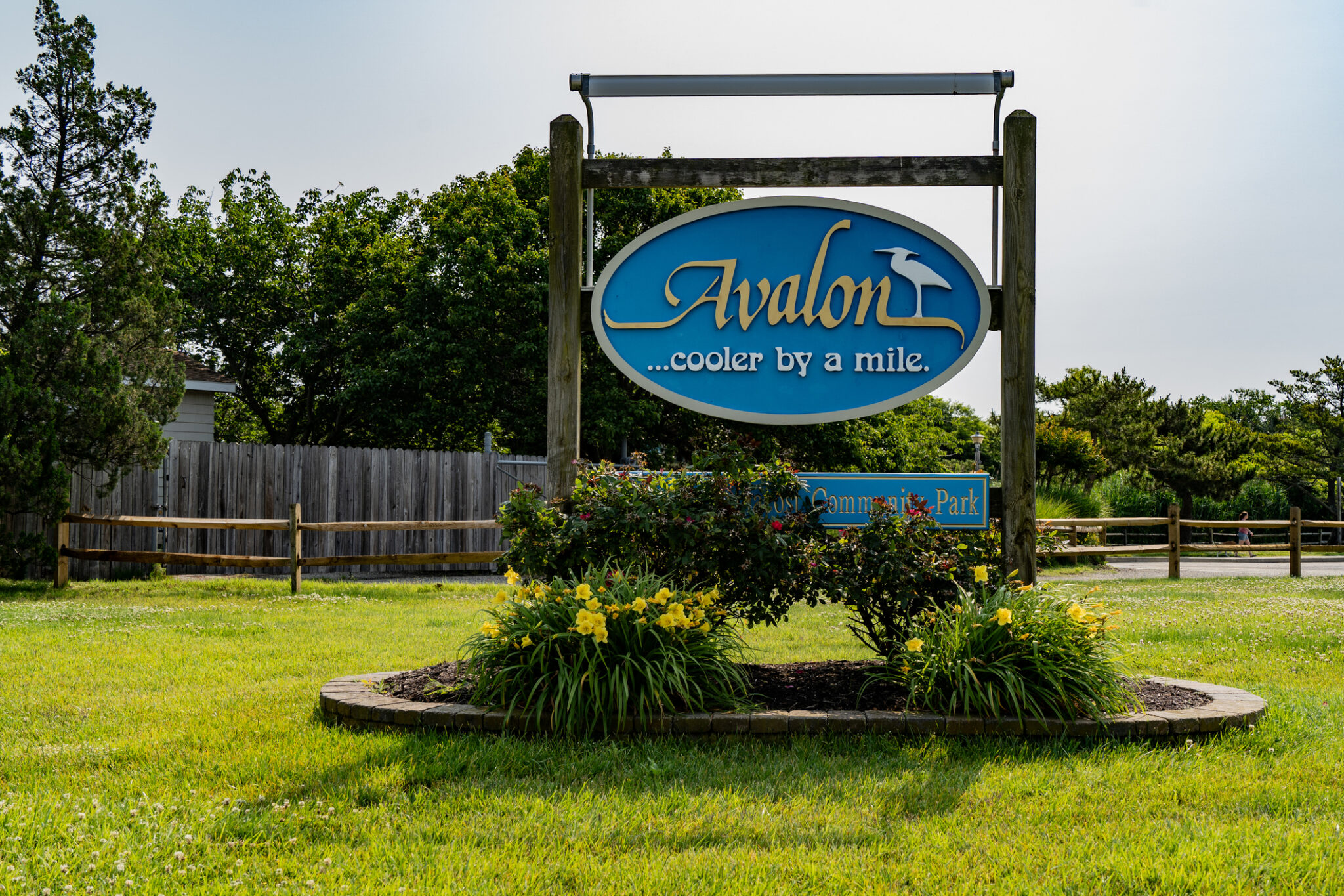 Avalon sign nj mom