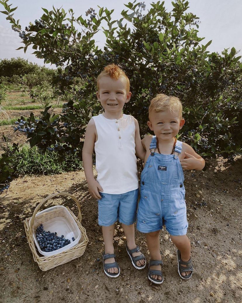 New Jersey blueberry picking nj mom