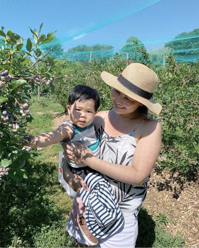 Terhune Orchards blueberry picking nj mom