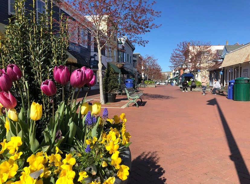 cape may New Jersey