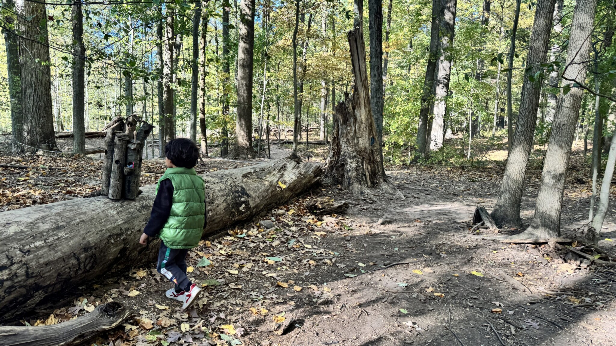 fairy trail in nj south mountain walking nj mom