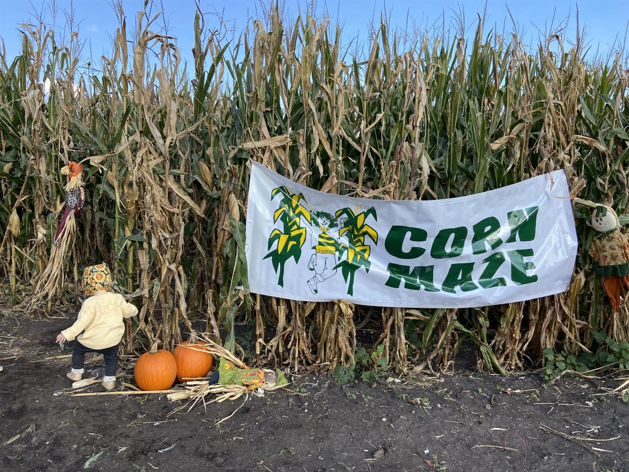 fall activities in NJ corn maze New Jersey nj mom