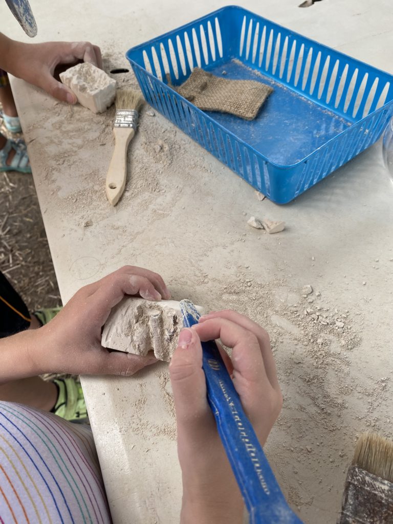 Field Station Dinosaurs dig nj mom
