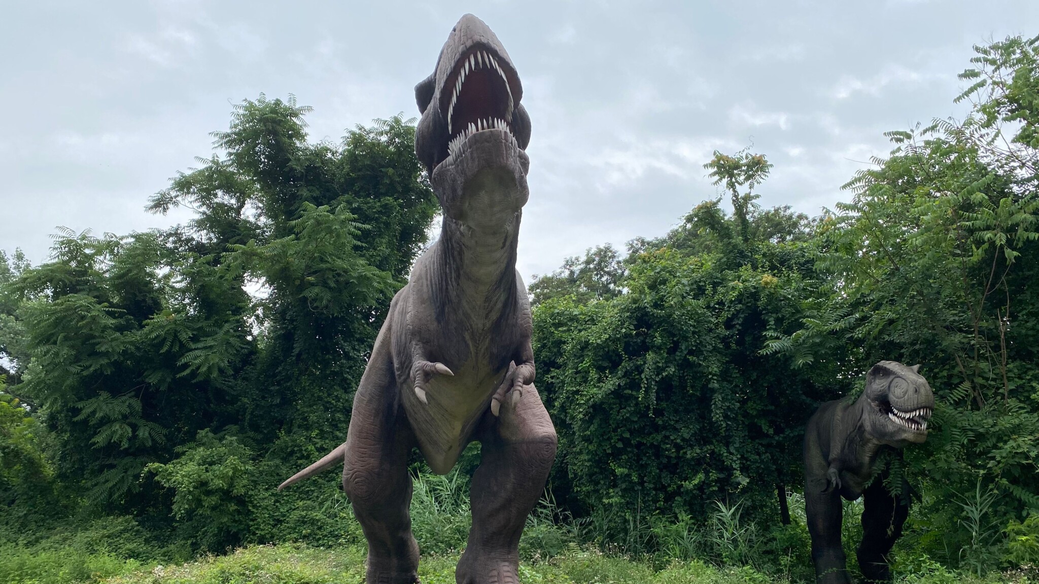 fieldstationdinosaursjump-scaled-1
