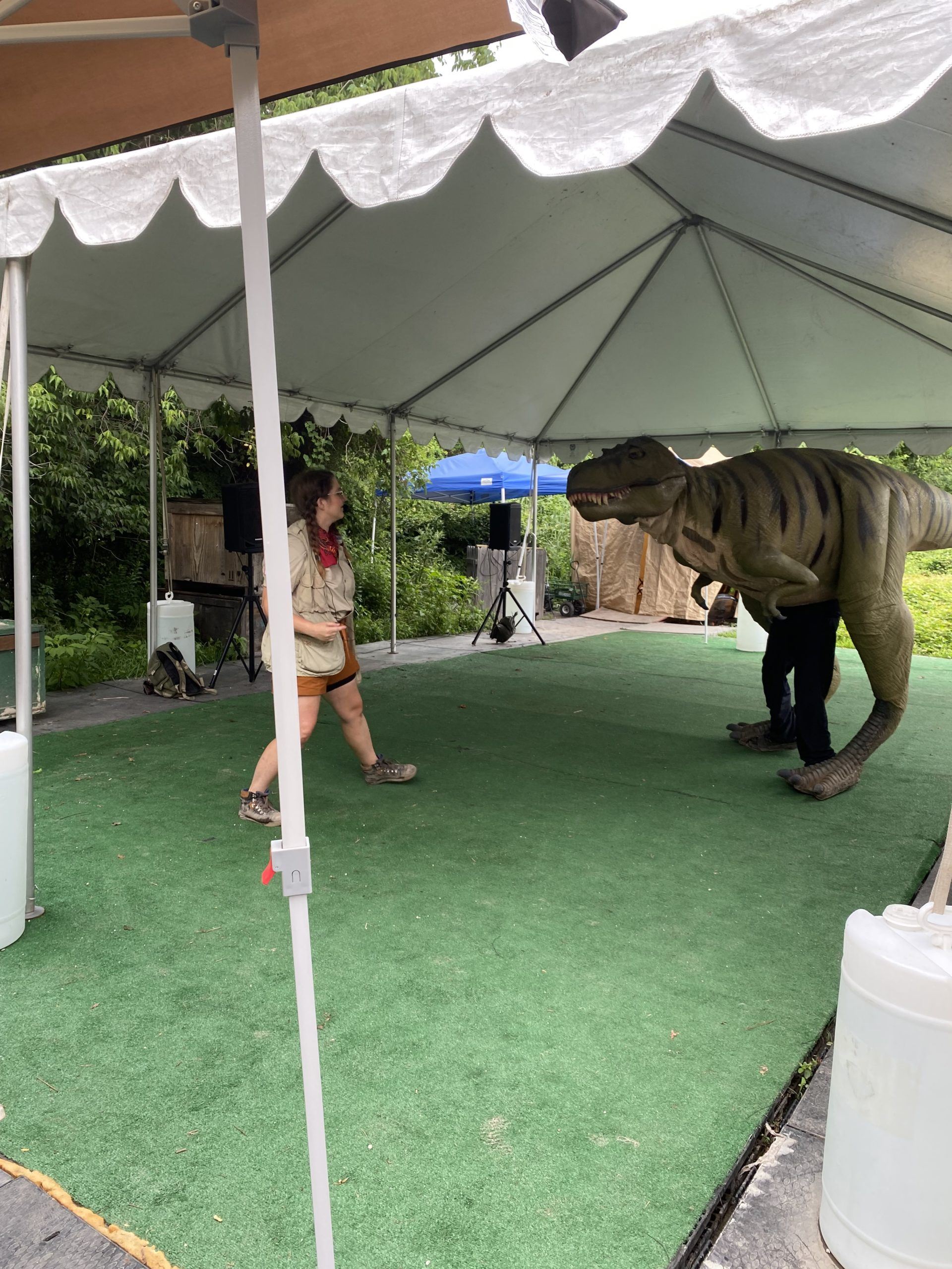 Field Station Dinosaurs rex nj mom