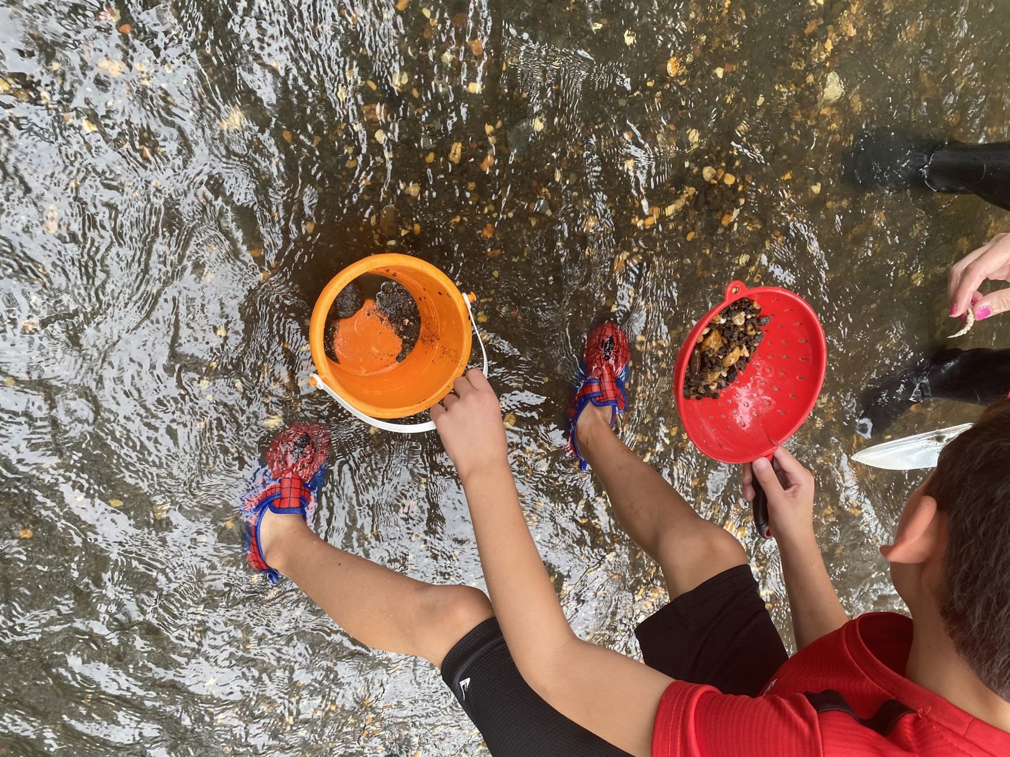 Free attractions in NJ Big Brook Preserve New Jersey nj mom