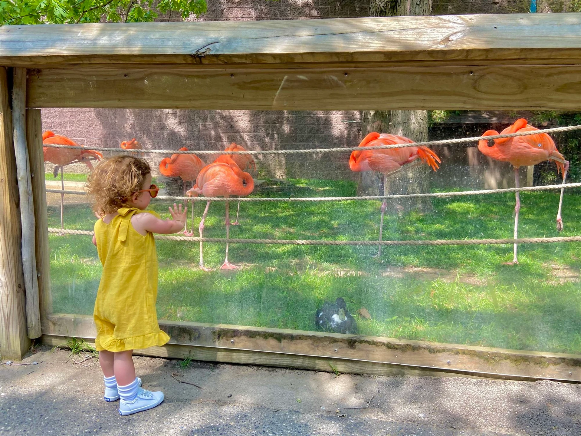 things to do In New Jersey nj mom